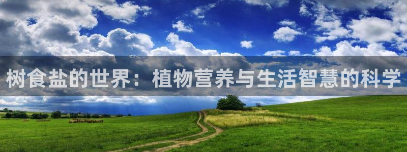 威九国际78cm