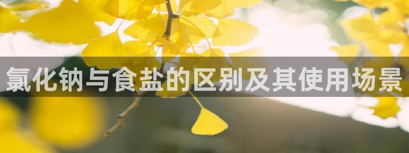 威九国际留学