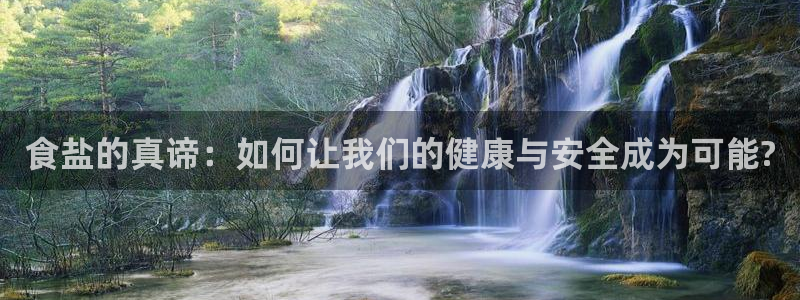 威九国际韩国