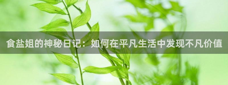 威九国际网站入口地址查询