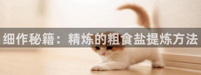 威九国际的金融服务怎么样：细作秘籍：精炼的粗食盐提炼方法