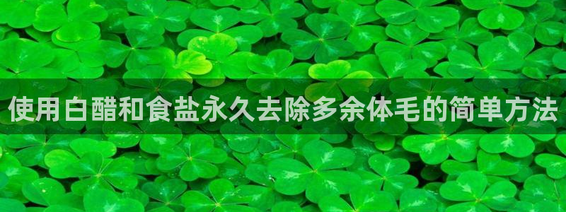 威九国际网站登录