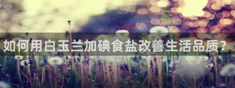 威九国际官网登录入口网址