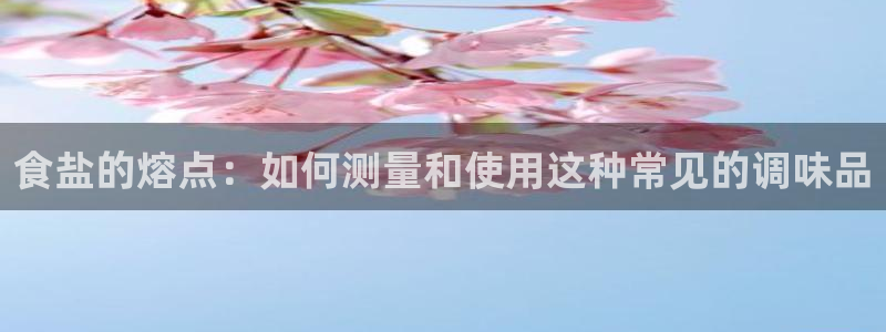 威九国际官网登录入口网址