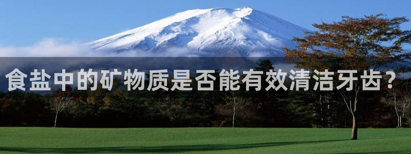 保定威九网络科技有限公司电话