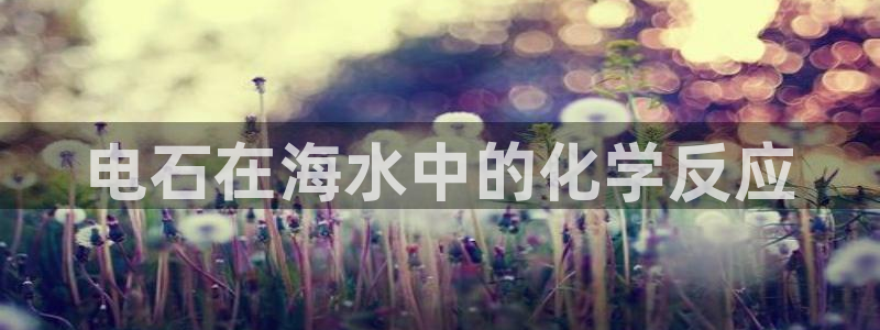 威九国际网站客服电话多少