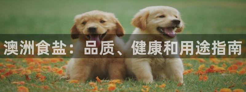 威九国际官网版下载