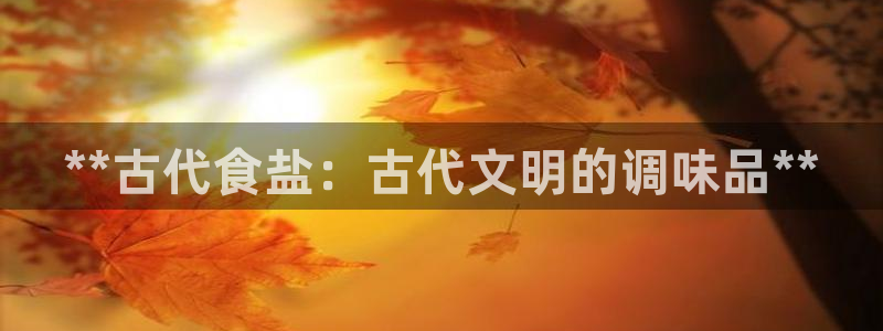 78mapp威九国际最新版