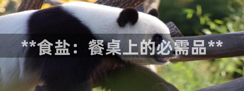 威九国际的网站入口在哪里