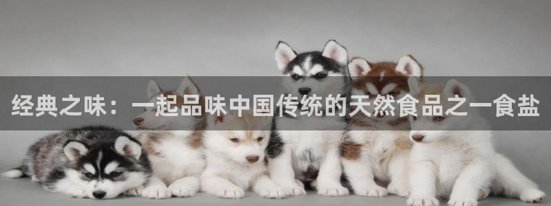 威九国际网站进入产品中心怎么进