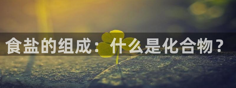 威九国际网站人入口