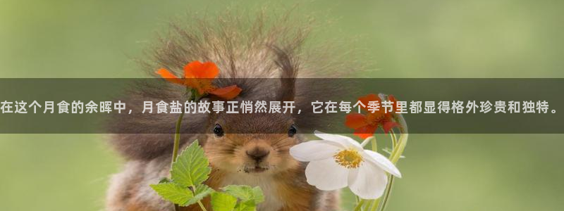 威九国际集团66m一6