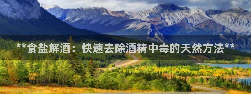 威九国际软件公司简介