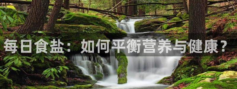 威九国际网站怎么样知乎：每日食盐：如何平衡营养与健康？